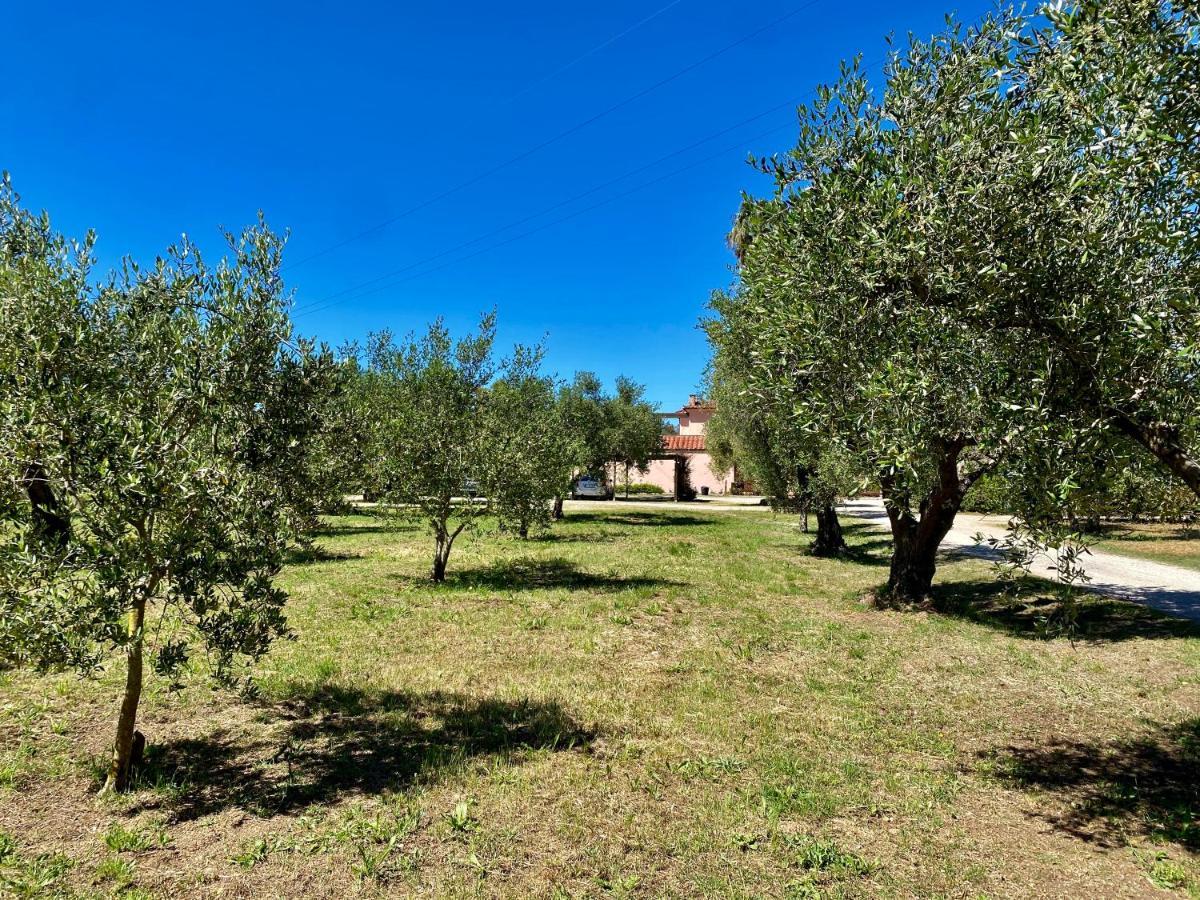 Residence Terme Isola D'Elba Srl Portoferraio Exterior photo